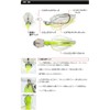 Evergreen Chatterbait Jack Hammer, 3/8 oz, #09 Gold Rush