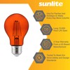 Sunlite 81085 LED Filament A19 Standard 4.5 (60 Watt Equivalent)