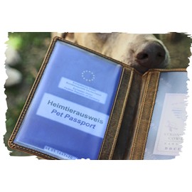 Greenburry Protective Cover for Vaccination Certificate Brown 16.5 x 1.5 x 12 cm with Cat Motif, persian cat, Attribute not applicable to the product