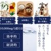 Izumi Silica (16.9 fl oz (500 ml)