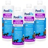 poolife Intensive Stain Prevention (1 qt) (4 Pack)