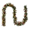 National Tree Company Pre-Lit Artificial Christmas Garland, Green, Frosted Berry,