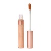 Canmake Tokyo Cover & Stretch UV Concealer 01