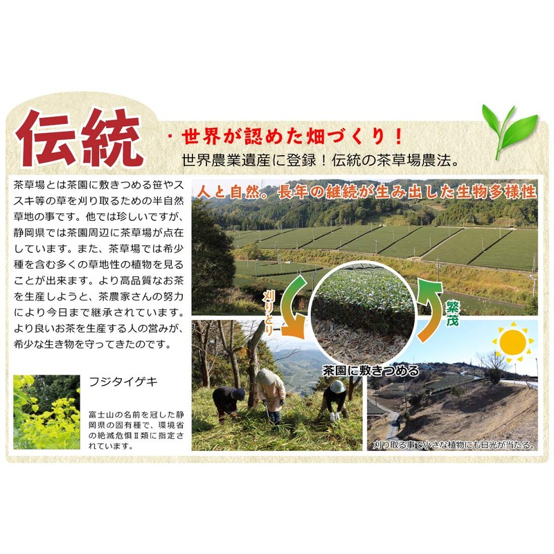 Kakegawa Deep Mushi Over Sencha (100 g) x 3 Bags