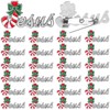 36 Pcs Christmas Enamel Brooch Bulk Label Pins Candy Cane