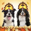 RYPET Turkey Dog Headband - Dog Thanksgiving Costume for Medium