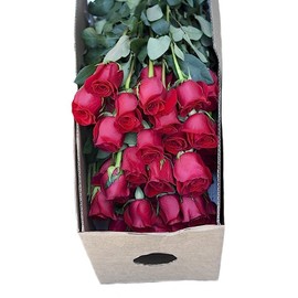 KaBloom Flowers -Valentine's Day Collection - 25 Red Roses, Gift for Birthday, Sympathy, Anniversary, Get Well, Thank You, Valentine, Mother’s Day Fresh Flowers