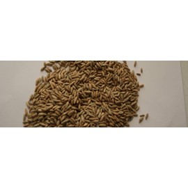 10 lb Rye Seeds, Deer Wildlife Food Plot Seed, Cover Crop, Forage Crop