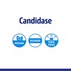 Enzymedica, Candidase, 42 Capsules, Enzyme Supplement to support a healthy