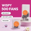 Eyesy Lash 500 Wispy Promade Fans - 5D 0.07 Size