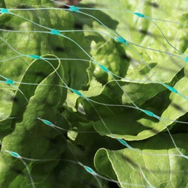 com-four® 4 x Protective Net for the Garden - Protective Cover for Beds, Shrubs, Fruit Trees - Very Fine Bird Protection Net - 2 x 5 m Each (Pack of 04 - Extra Fine Mesh)