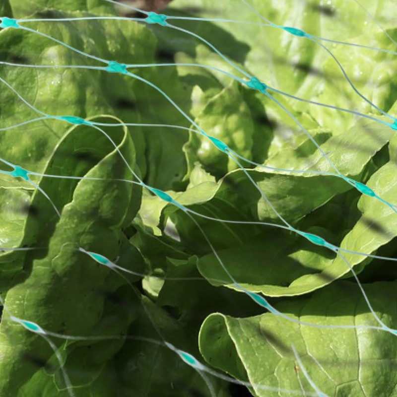com-four® 4 x Protective Net for the Garden - Protective