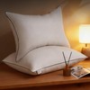 BHZ Goose Down Feather Pillows Standard Size Set of 2