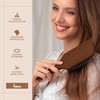 lampox Hair Brush Paddle Brush Paddle Brush Paddle Brush Detangling