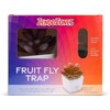 ZendoZones Succulent Fruit Fly Trap – Mellow Molly Design with