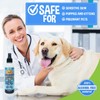 Bodhi Dog Itch Relief Spray for Pets | Natural Soothing