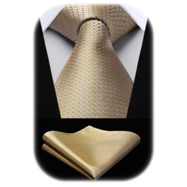 HISDERN Champagne Ties for Men Classic Silk Tie and Pocket Square Set Formal Business Polka Dot Necktie Handkerchief Elegant Wedding Party Necktie