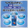 【指定第2類医薬品】ベンザブロックIP錠 30錠