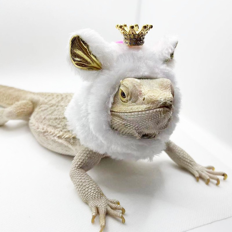 Pet Lizard Hat Soft Cotton Comfortable Attractive Pet Reptile Costume