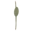 Creative Co-Op Distressed Metal Tuna Tail Accent Decor, Aqua
