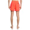 Quiksilver Men's Everyday 38.1-cm Board Shorts