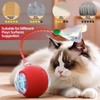 Interactive Cat Ball Toys, 360° Intelligent Auto-Rolling Cat Toy Ball