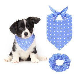Sanwuta Dog Bandanas & Matching Hair Scrunchie Set Blue Dot Spring Summer Clothes Pet Scarf Bibs Bandana for Owner and Dog Matching Large Medium Puppy