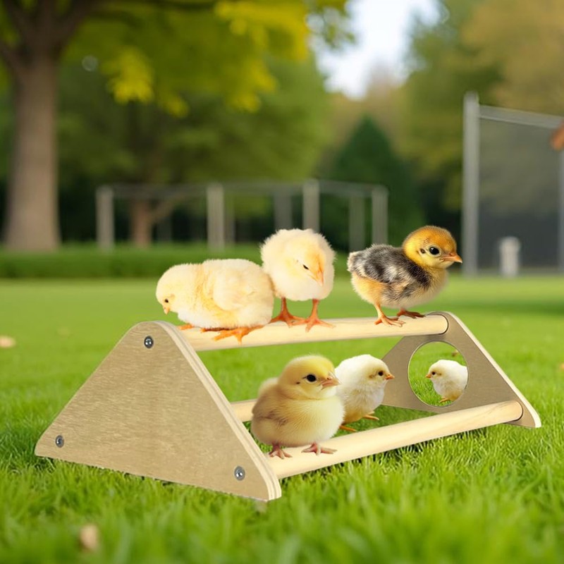 Chicken Toys with Mirror, Roosting Bars for Chicks in Coop
