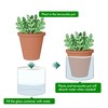 D'vine Dev 4 Inch Design Self Watering Planter for Indoor