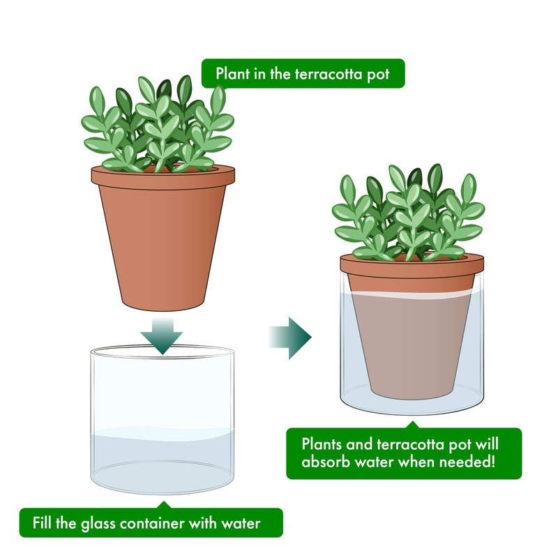 D'vine Dev 4 Inch Design Self Watering Planter for Indoor