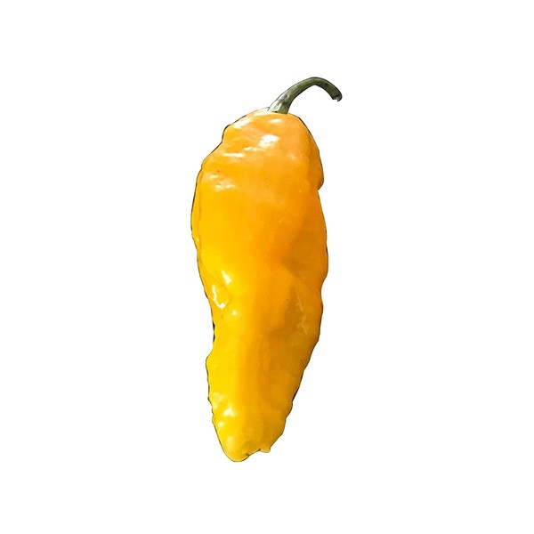 Yellow Dried Ghost Peppers Whole Dried Peppers +2 Free Wicked Tickle Super Hot