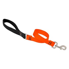 Traffic Leash by Lupine in 1" Wide Blaze Orange 2-Foot Long with Padded Handle