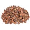 NaDeco Pinus Mugo Pine Cones Approx. 3-5 cm 0.5 kg