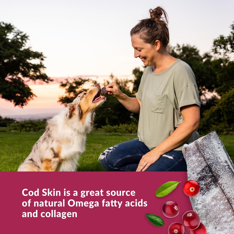 Wild Eats Cod Skins Dog Treat Superfood Medallions 3oz -