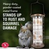 Perky-Pet 114B Squirrel Stumper Bird Feeder, Copper