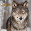 Wolves 2024: Kalender 2024 (Wonderful World)
