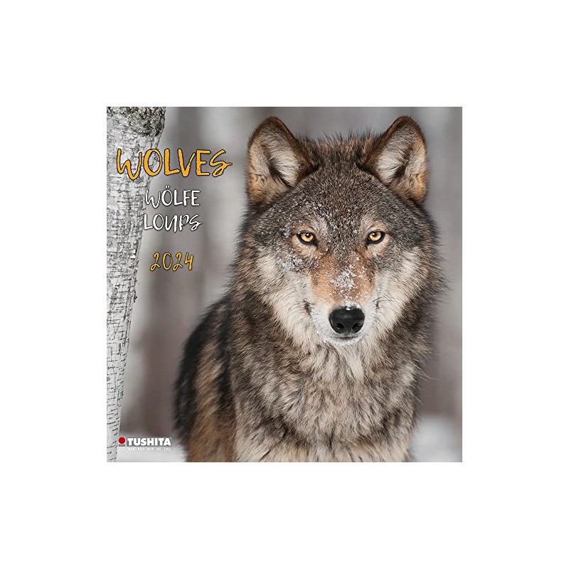 Wolves 2024: Kalender 2024 (Wonderful World)