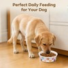 Etersky 50 Pack Disposable Dog Bowls, 16 oz Paper Pet