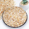 Rahato 1-2mm Coarse Sand for Plants, 6lbs Horticultural Sand for