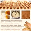 Stildolce Semi-Soft Fig Italian Biscotti Cookies | Made in Tuscany,