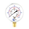 CARBO Instruments Diaphragm Low Pressure Capsule Gauge, 2-1/2" Dial, 3