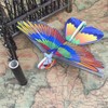 Flying RC Birds Eagle Parrot Kids Children Remote Control Bird