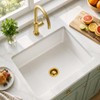 Brushed Gold Garbage Disposal Flange and Sink Stopper, 304 Stainless