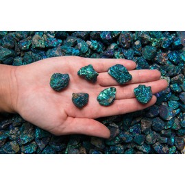 Fantasia Materials: 2 lbs Small Chalcopyrite Peacock Ore from Mexico - AA Grade - 0.75" Avg.