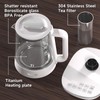 ICOOKPOT Titanium & Stainless Steel Electric Kettle with Tea Infuser