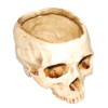 VOANZO Modern Resin Skull Shaped Head Design Flower Pot Planter