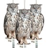 3 Pcs Owl to Keep Birds Away Reflective Owl Bird