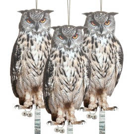 3 Pcs Owl to Keep Birds Away Reflective Owl Bird Deterrent Double Side Printed Owl Scarecrow Waterproof Plastic Hanging Owl Decoy Natural Enemy Bird Scare Owl for Garden Patio Windows Farm ...(QN002)