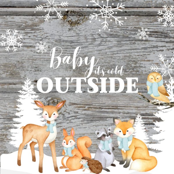 Baby It's Cold Outside: Rustic Woodland Animals Baby Shower Guest
