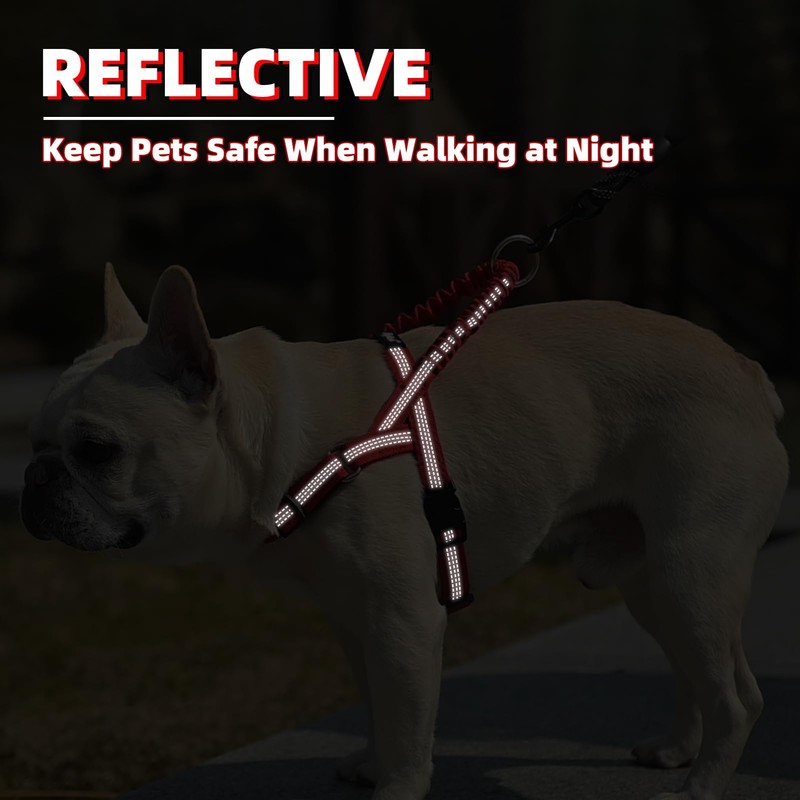 PUPTECK No Pull Dog Harness Small Sized Dog, Adjustable Reflective